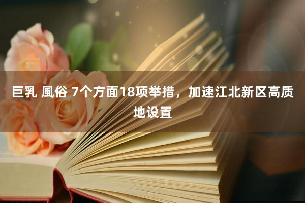 巨乳 風俗 7个方面18项举措，加速江北新区高质地设置