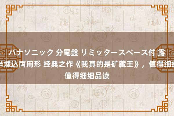 パナソニック 分電盤 リミッタースペース付 露出・半埋込両用形 经典之作《我真的是矿藏王》，值得细细品读
