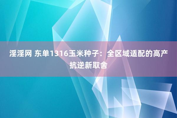 淫淫网 东单1316玉米种子：全区域适配的高产抗逆新取舍