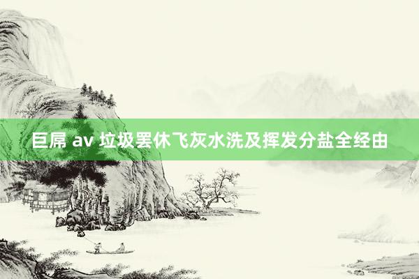 巨屌 av 垃圾罢休飞灰水洗及挥发分盐全经由