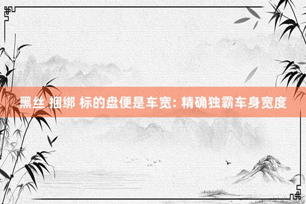 黑丝 捆绑 标的盘便是车宽: 精确独霸车身宽度