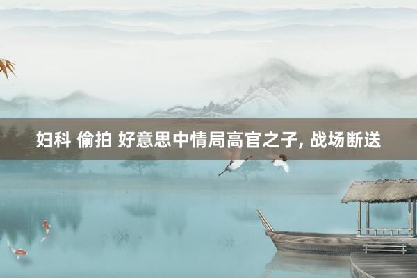 妇科 偷拍 好意思中情局高官之子, 战场断送